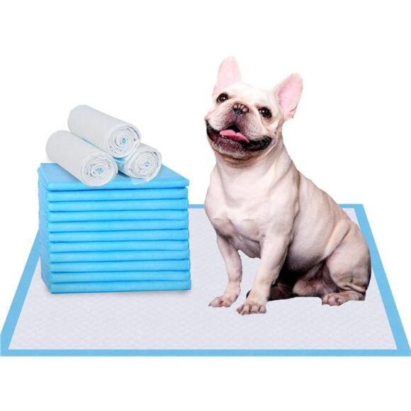 Puppy Pee Pads 22"x23"-100 Count | Dog Pee Training Pads Super Absorbent - Picture 1 of 8